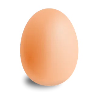 Egg